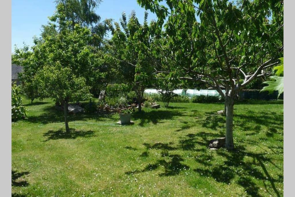 La Grange De Salvaneix Gite Pour 15 Personnes 7 Chambres Avec 6 Sdb-6Wc Sarran المظهر الخارجي الصورة